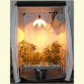 Kit Growbox 250W