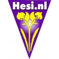 HESI HESI
